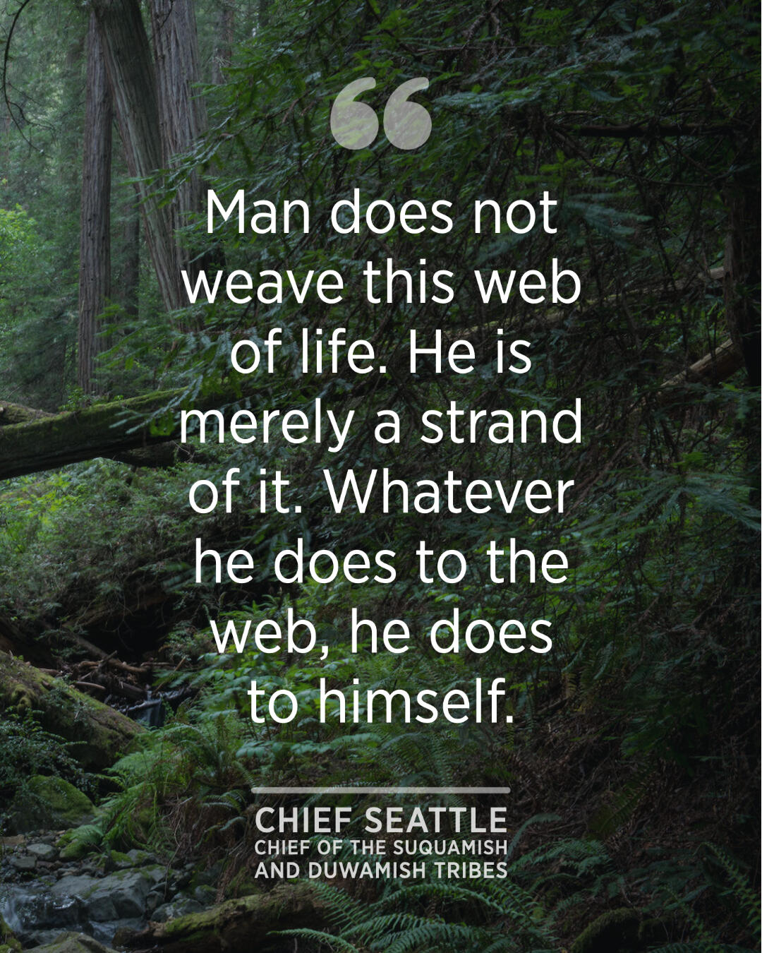 Inspiring Nature Quotes from Indigenous Leaders | Golden Gate National